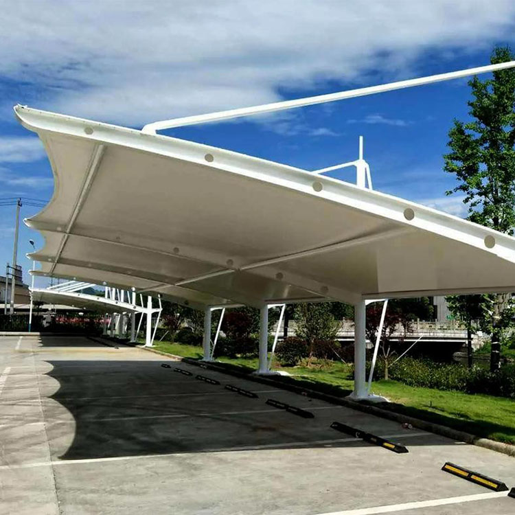 泰来县膜结构汽车棚