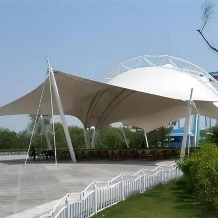 泰来县工程案例