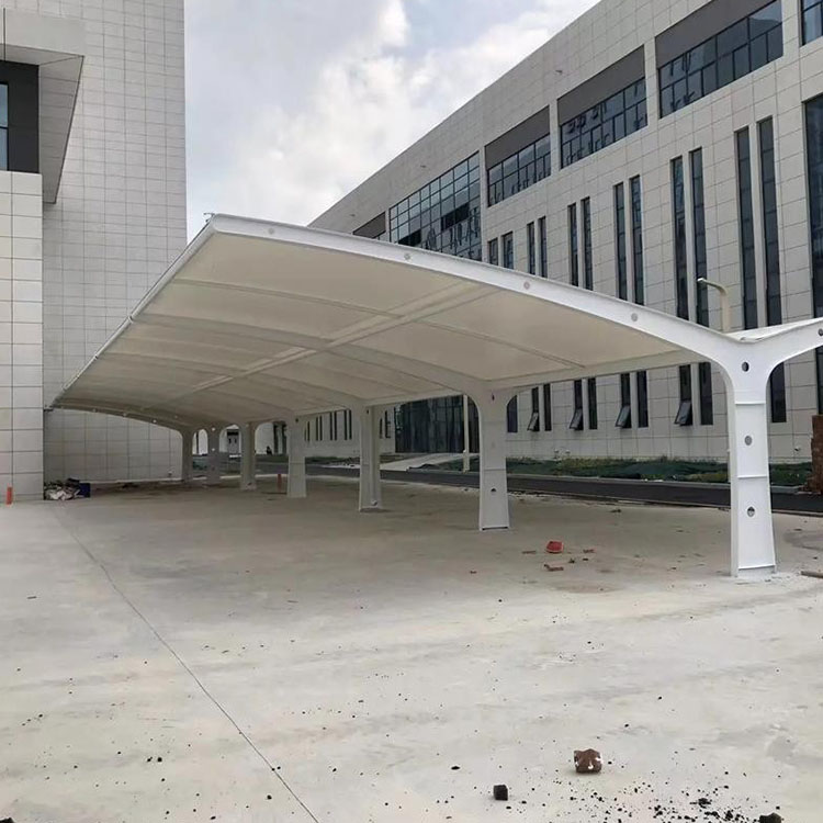 泰来县工程案例